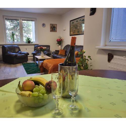 Apartman Bianca & free parking