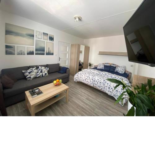Apartmán č. 19