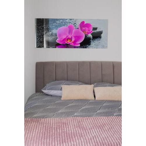 Apartman Concept
