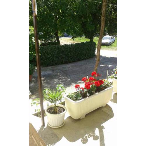 Apartman Danijela