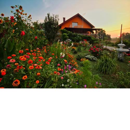 Apartman Dimač