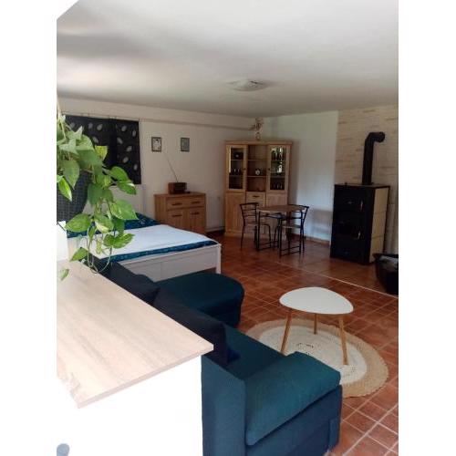 Apartman Ivana