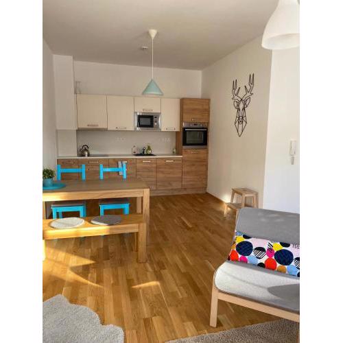 Apartman Jelen 58m2