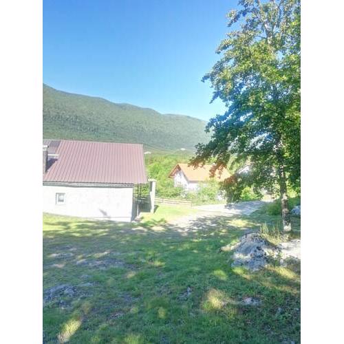 Apartman Juka