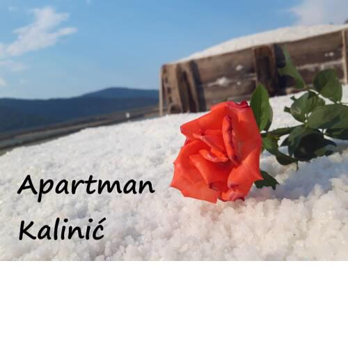 Apartman Kalinić