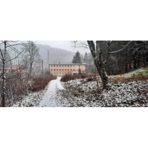 Apartmán Kořenov