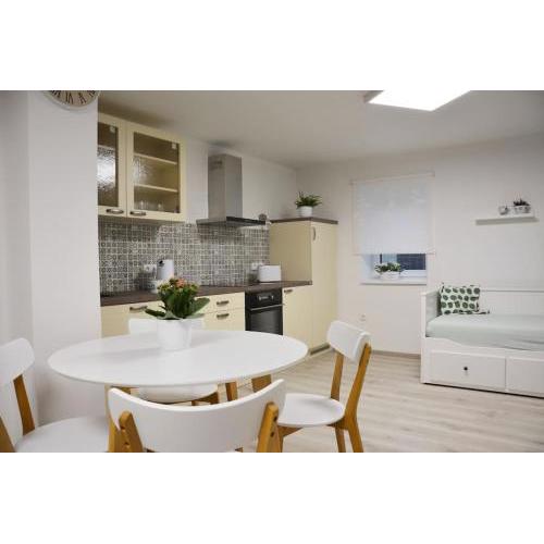 Apartmán Květinový Dům