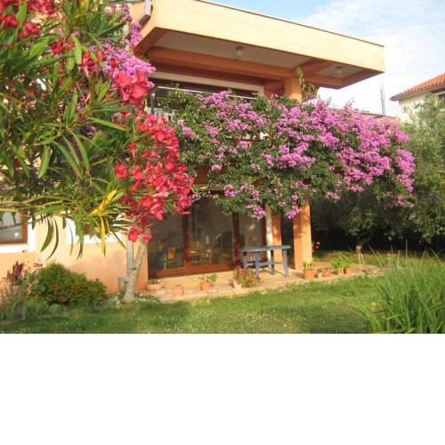 Apartman Lavanda