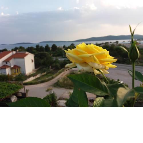 Apartman Lea