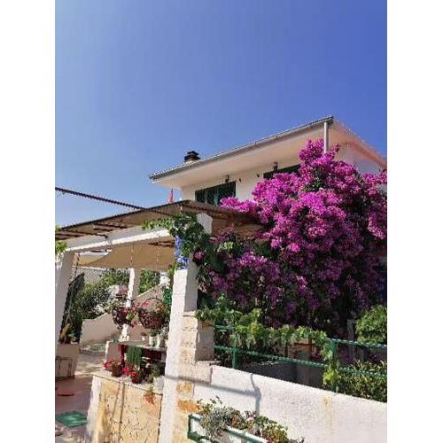 Apartman Lucija