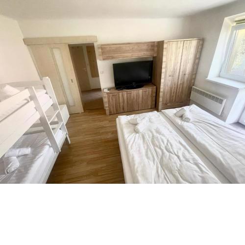 Apartmán Lukáš - Lipno nad Vltavou