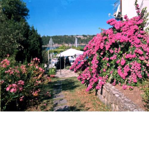 Apartman Marija II