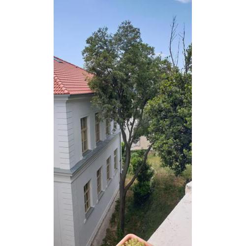 Apartman Marko 2
