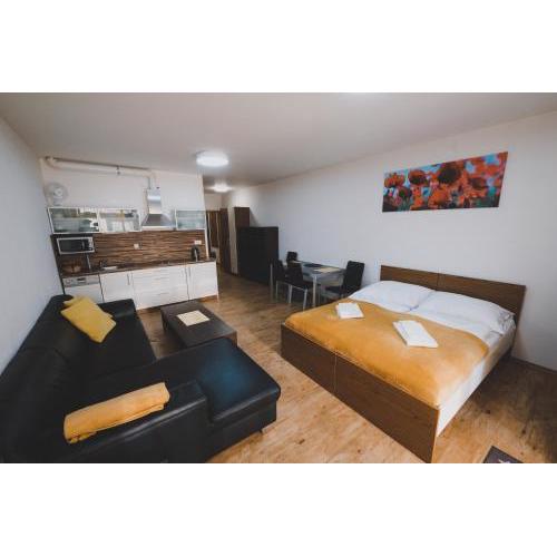 Apartmán Max Lipno
