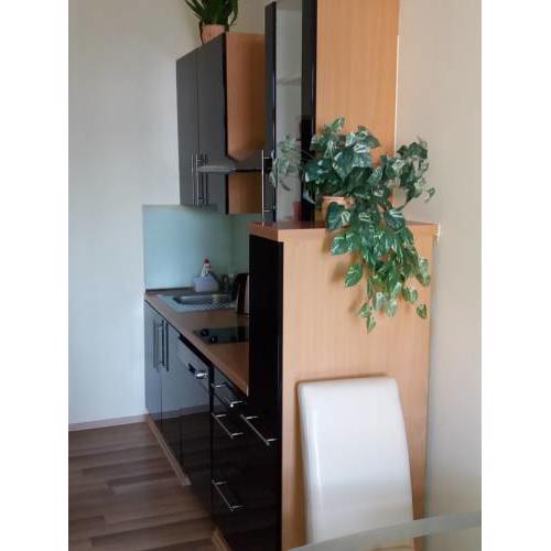 Apartmán McVitek