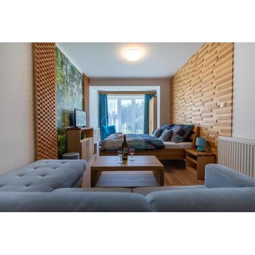 Apartmán Mirka