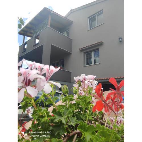 Apartman M&M