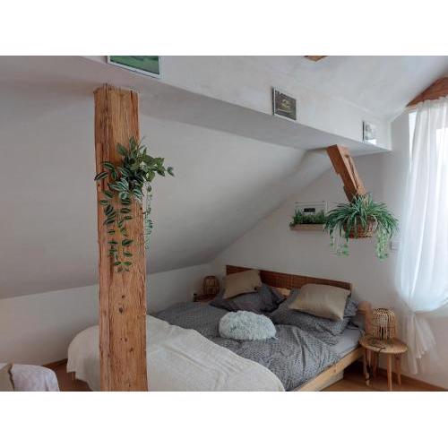Apartmán Mourek