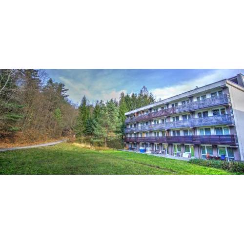 Apartmán na kraji lesa Všemina
