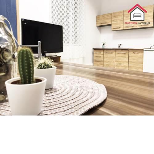 Apartmán na Veselce - Troubsko u Brna