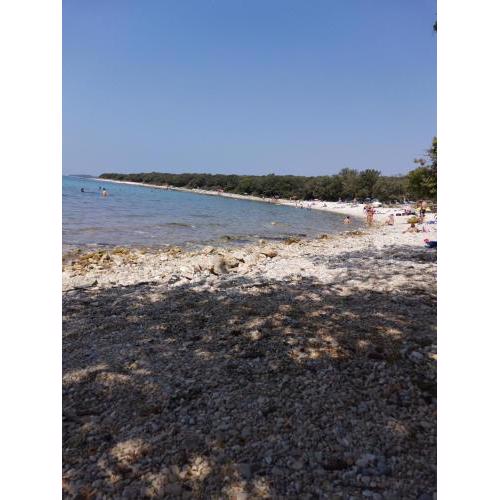 Apartman NENA