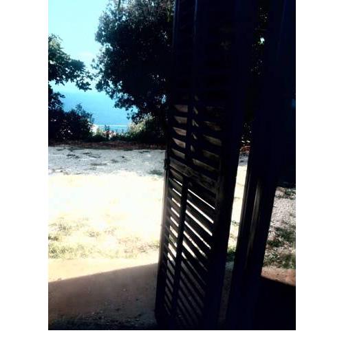APARTMAN OLI