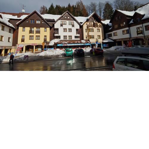 Apartmán Roky - Horní Rokytnice