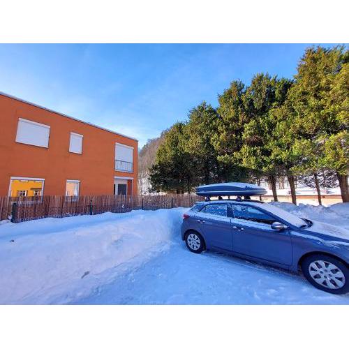 Apartmán se zahradou - Svoboda nad Úpou