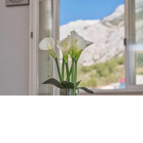 Apartman Šime