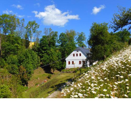 Apartmán stará pekárna - Krkonoše
