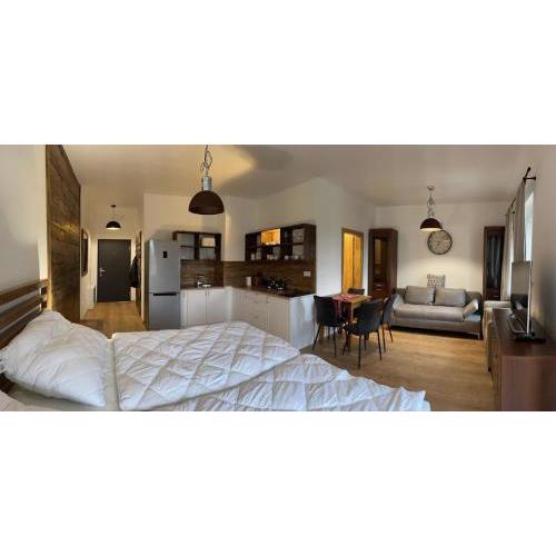 Apartmán Thermalpark Dunajská Streda