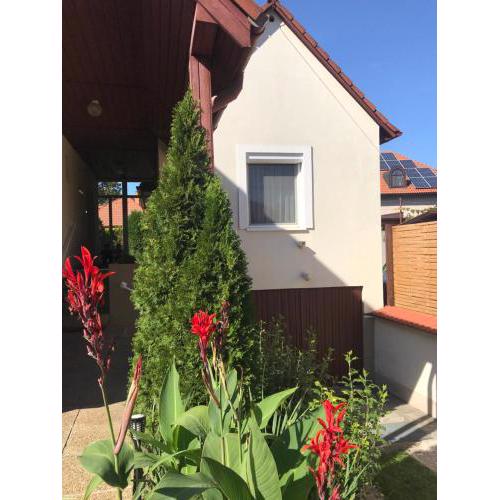 Apartman Tina Sol