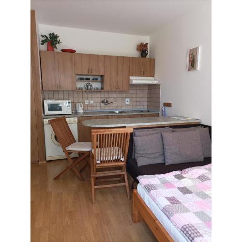 Apartmán U Francouze