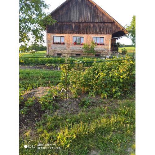 Apartmán U Milušky