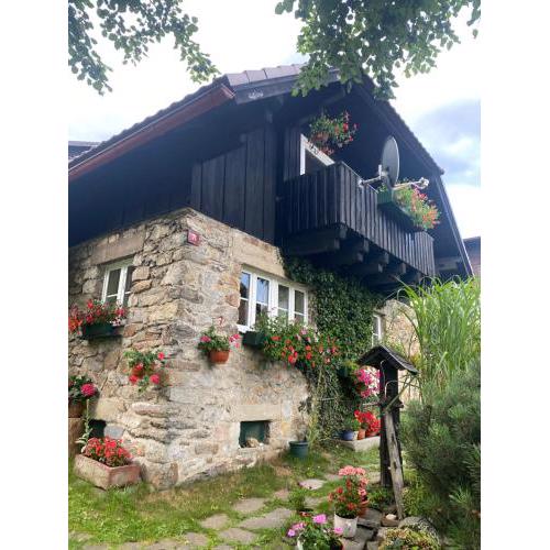 Apartmán U potůčku