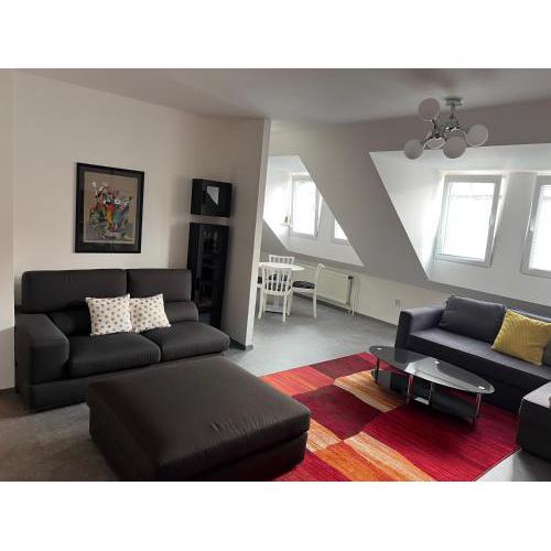 APARTMÁN U ZOUBKU