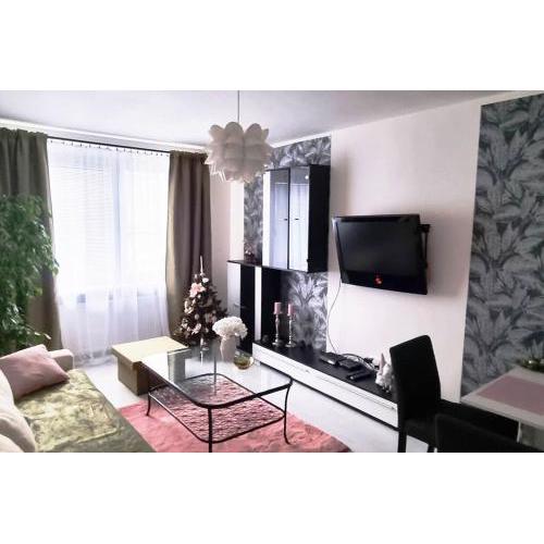Apartmán v centre mesta Žilina