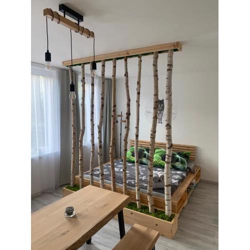 Apartmán v centru Železné Rudy se zahrádkou