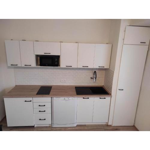 Apartmán v Desné