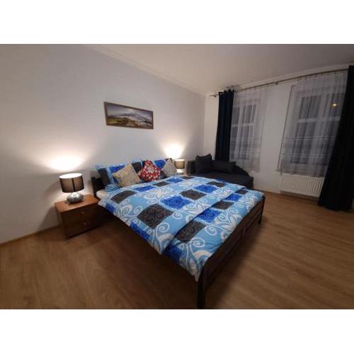 Apartmán v Krušných horách-free parking