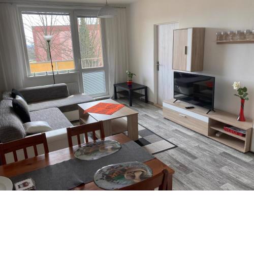 Apartmán ve Velkých Losinách