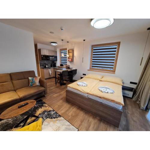 Apartman Veka-Hotel Ovruč