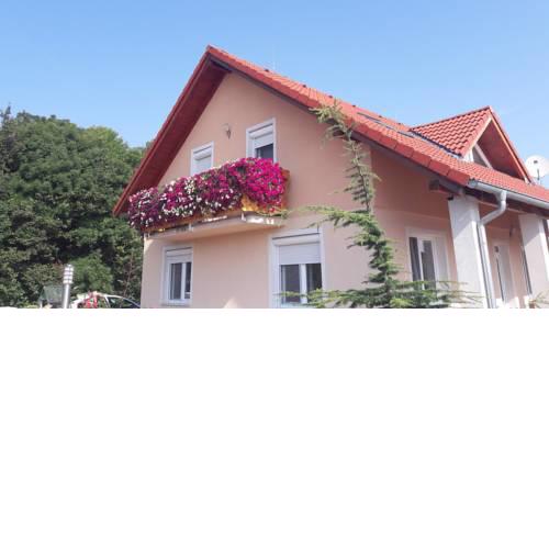 Apartman Viki