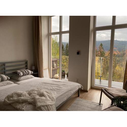 Apartmán Vyhlídka Hamry