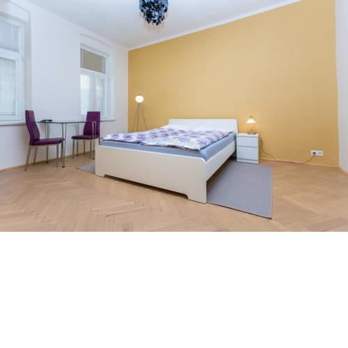 Apartman Zeyerova 9