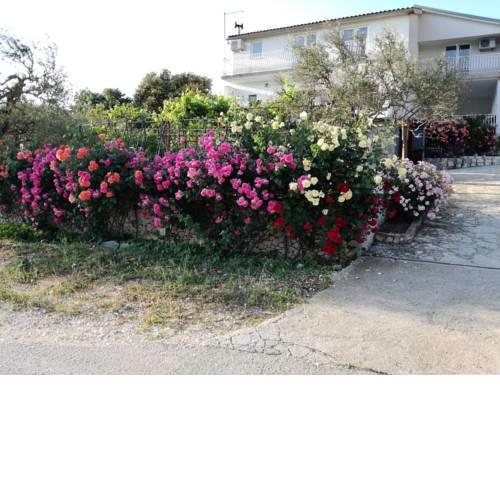 Apartmani Belakušić