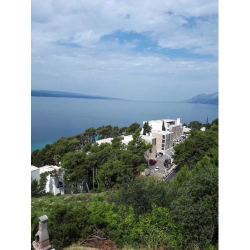 Apartmani Bella
