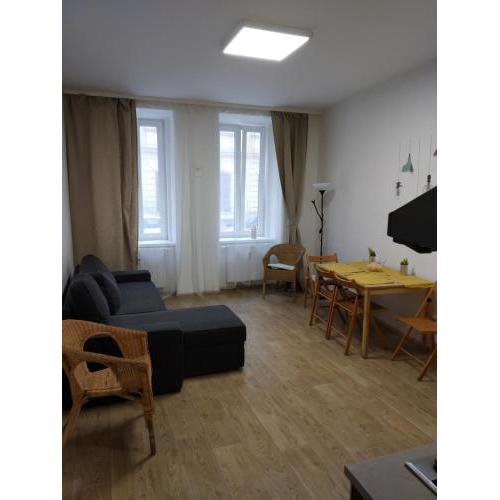 Apartmans in the center with privat parking