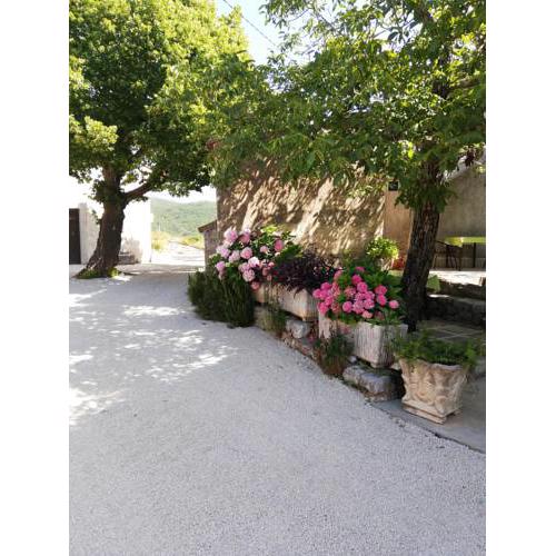 Apartmans Renata - Brseč