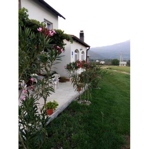 Apartmants Žegarac House